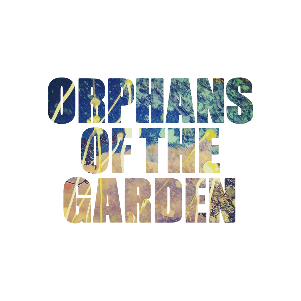 Orphans of the garden - Phaedra Hardstaff