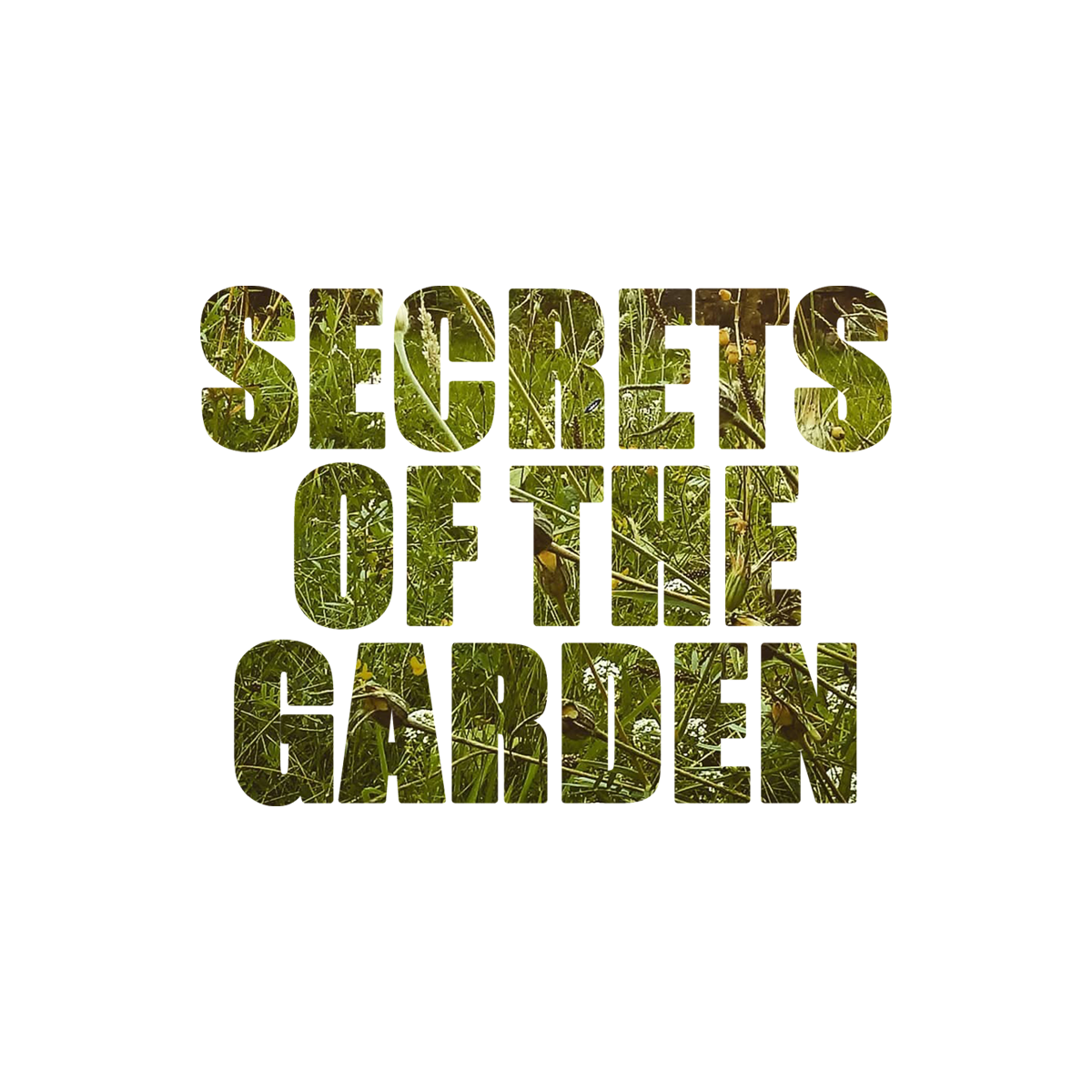 Secrets of The Garden