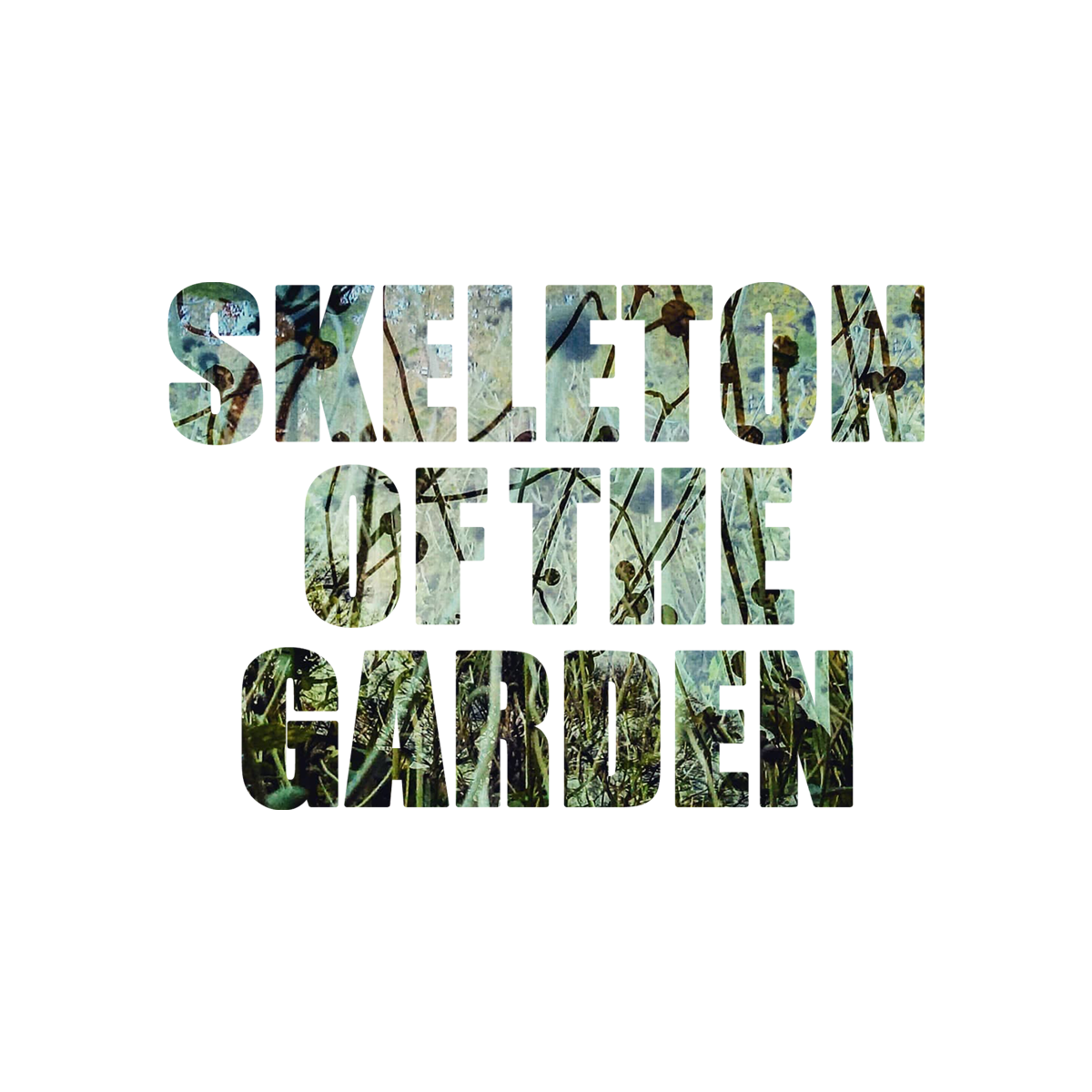 Skeleton of The Garden - Phaedra Hardstaff